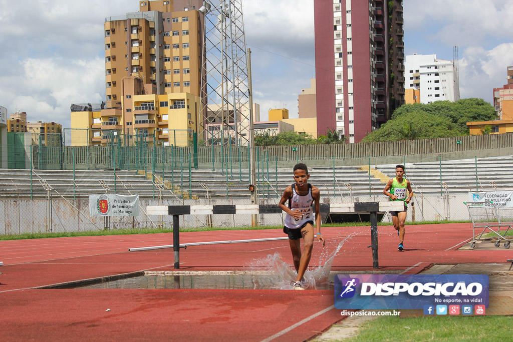 1º Torneio Federação de Atletismo do Paraná 2016