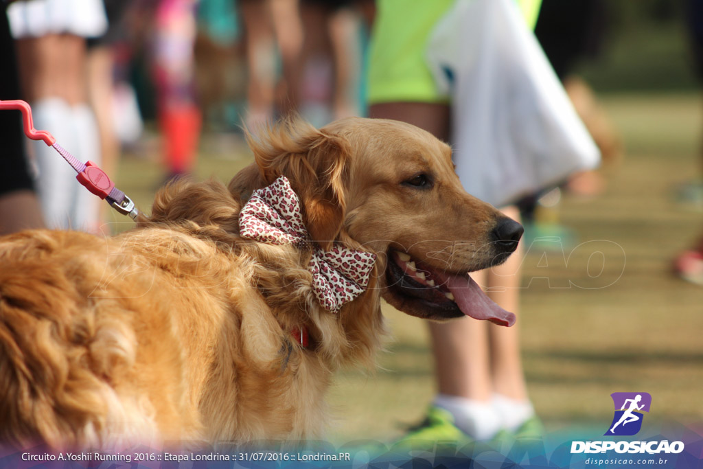 Circuito AYoshii Running 2016 :: Etapa Londrina