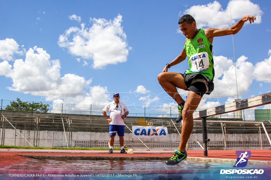 1º Torneio Federação de Atletismo do Paraná 2017 (FAP)