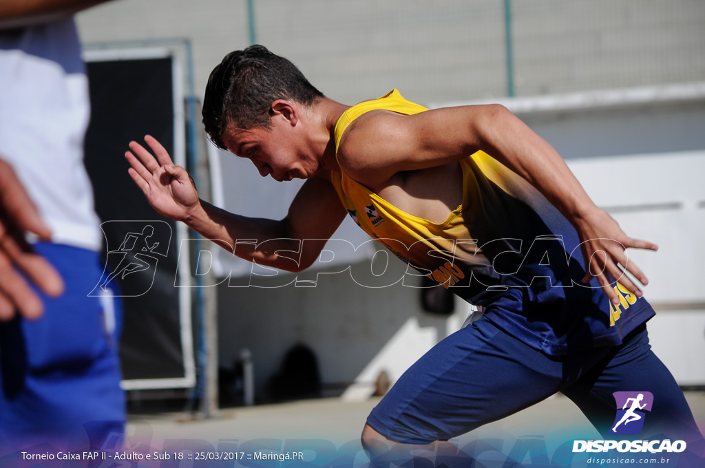 II Torneio Federação de Atletismo do Paraná 2017 (FAP)