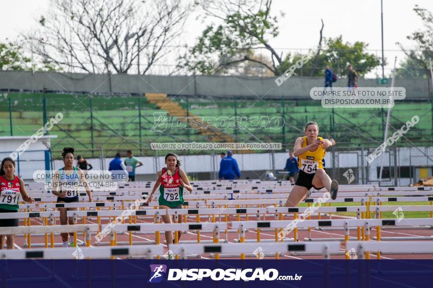 Campeonato Paranaense Caixa de Atletismo 2019 :: Sub-16 e Adulto