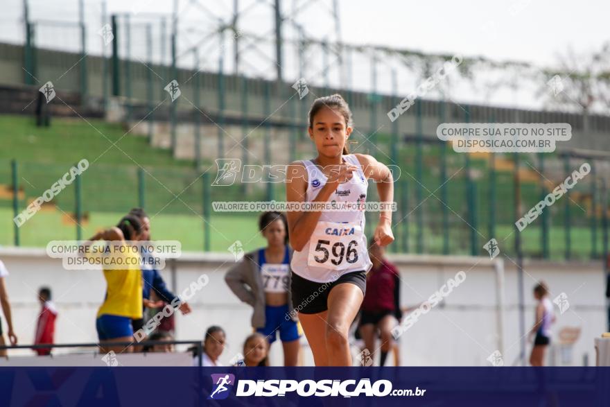 Campeonato Paranaense Caixa de Atletismo 2019 :: Sub-16 e Adulto