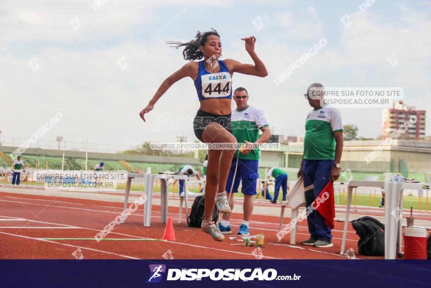 Campeonato Paranaense Caixa de Atletismo 2019 :: Sub-16 e Adulto