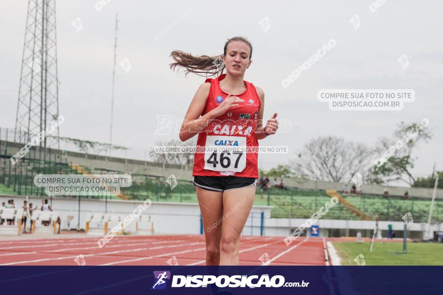 Campeonato Paranaense Caixa de Atletismo 2019 :: Sub-16 e Adulto