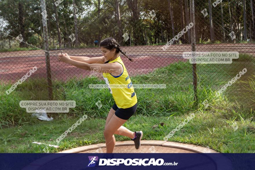Campeonato Paranaense Caixa de Atletismo 2019 :: Sub-16 e Adulto