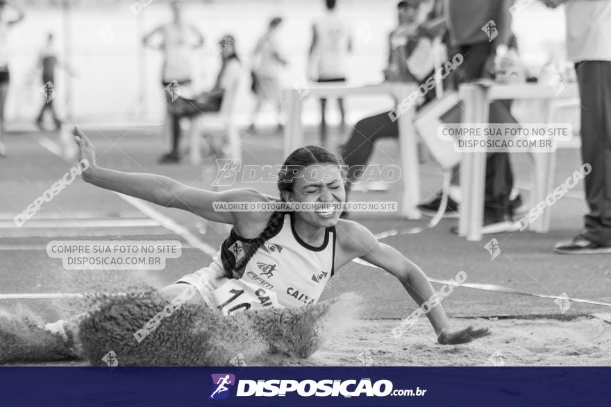 Campeonato Paranaense Caixa de Atletismo 2019 :: Sub-16 e Adulto