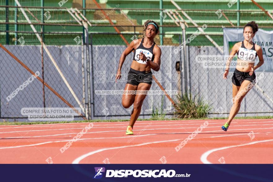 Campeonato Paranaense Caixa de Atletismo 2019 :: Sub-16 e Adulto