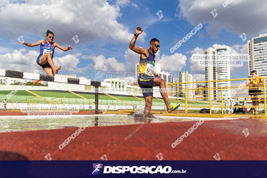 Campeonato Paranaense Caixa de Atletismo 2019 :: Sub-16 e Adulto