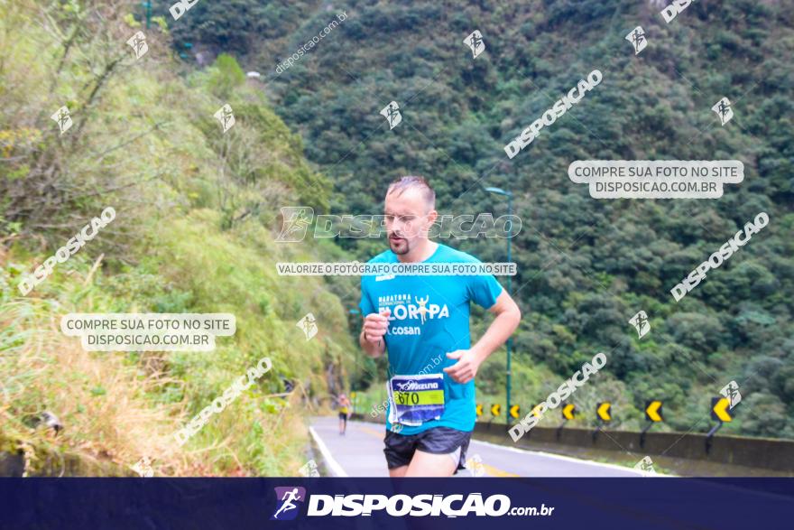 Mizuno Uphill Marathon 2019