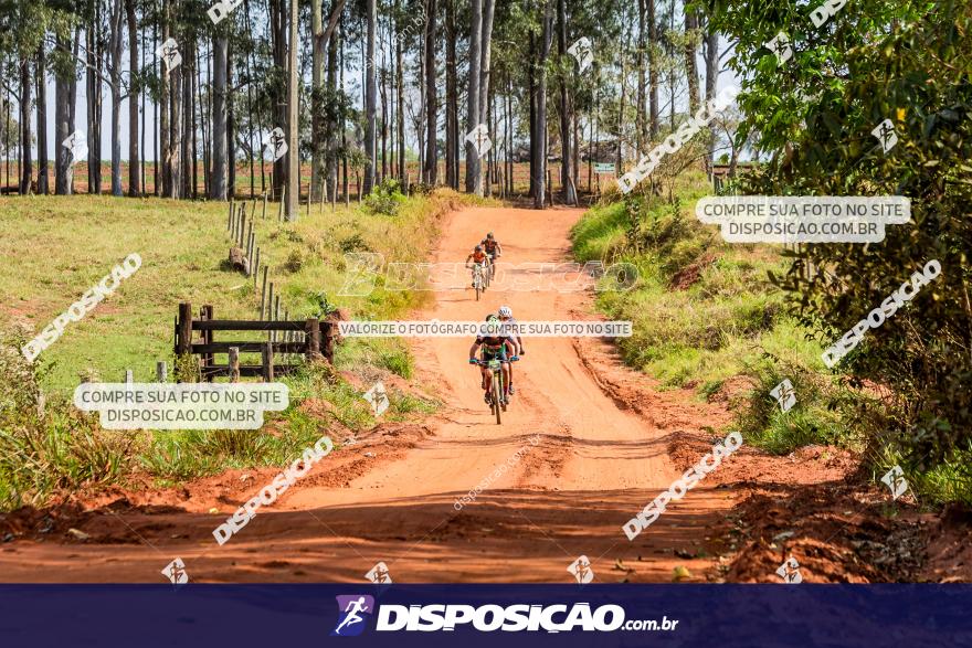 6ª Ultra Maratona Pata de Onça :: Domingo