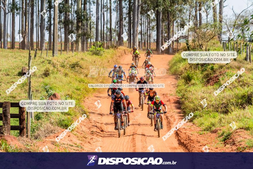 6ª Ultra Maratona Pata de Onça :: Domingo