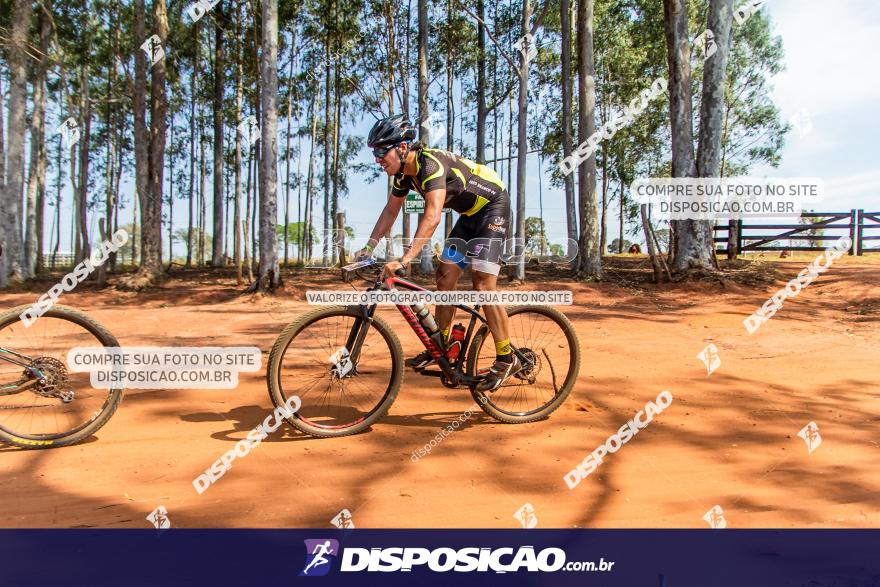 6ª Ultra Maratona Pata de Onça :: Domingo