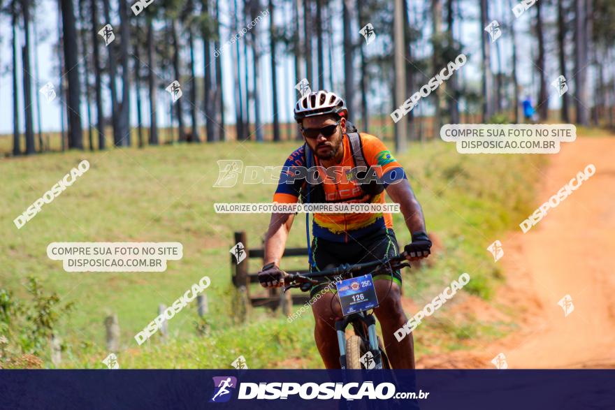 6ª Ultra Maratona Pata de Onça :: Domingo