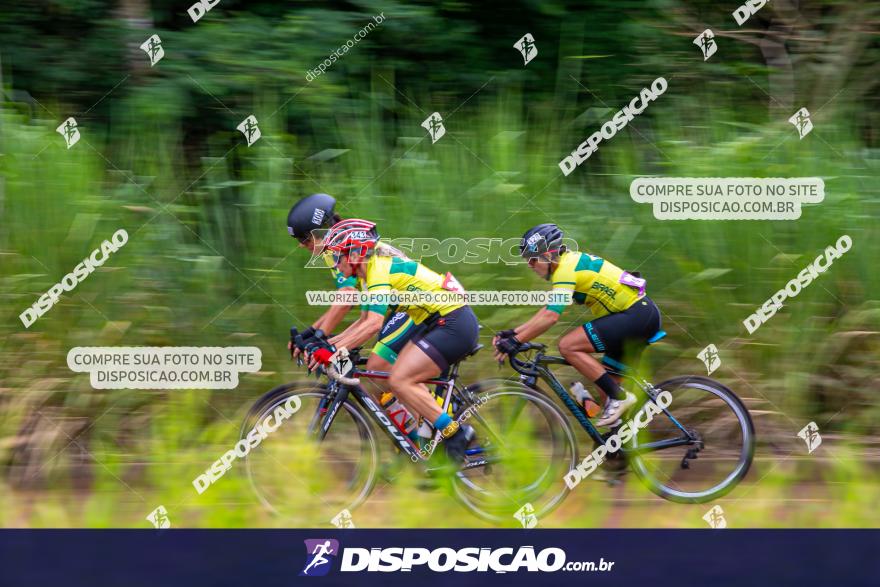 CAMPEONATO PAN-AMERICANO MASTER ESTRADA - DOMINGO