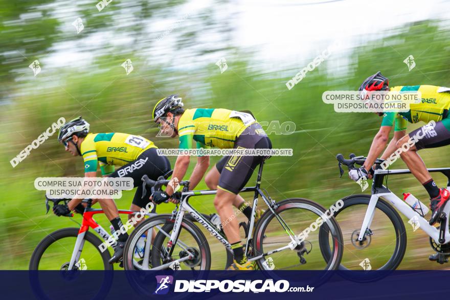 CAMPEONATO PAN-AMERICANO MASTER ESTRADA - DOMINGO