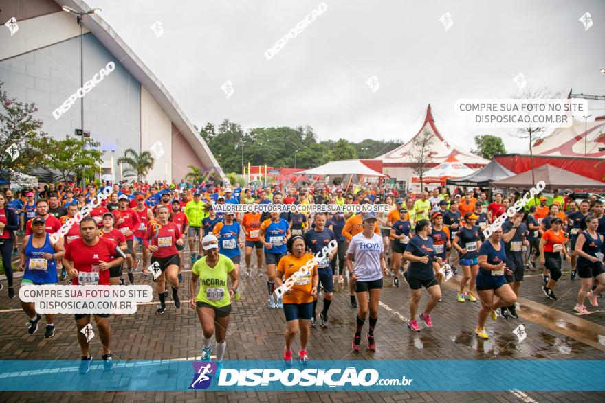 Boulevard Run 2020