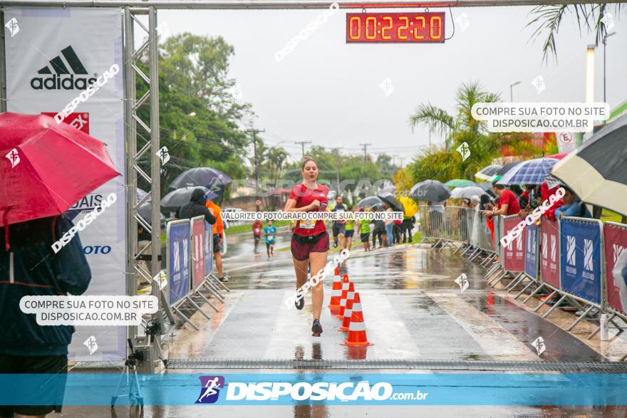 Boulevard Run 2020