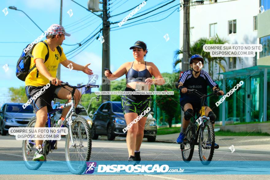 Meia de Curita 2020