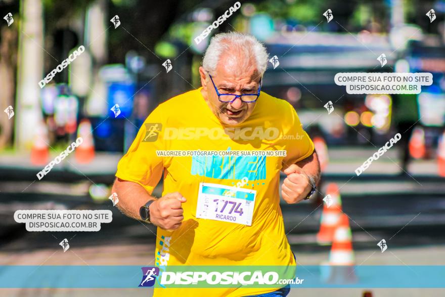 Meia de Curita 2020