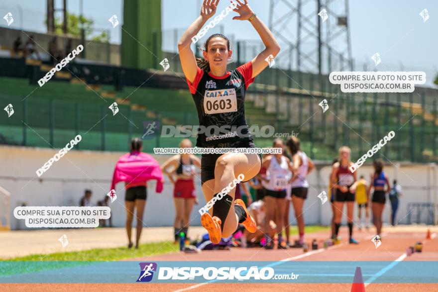 Torneio FAP 3