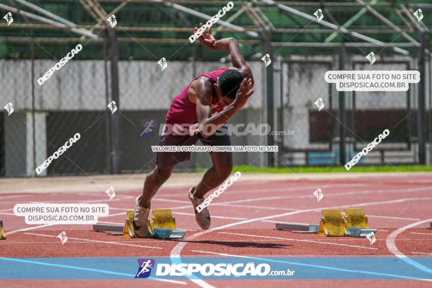 Torneio FAP 3