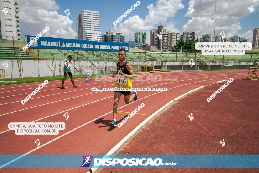 Torneio FAP 3