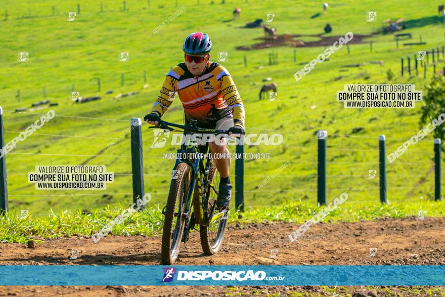 Desafio das Catedrais 2020