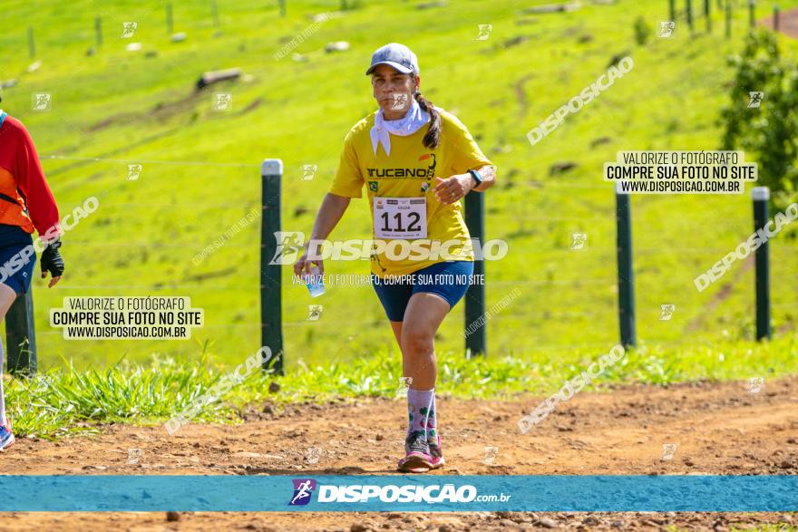 Desafio das Catedrais 2020