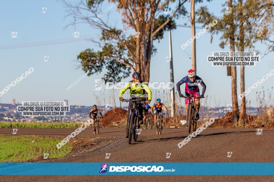 Desafio Meio Ambiente 2021