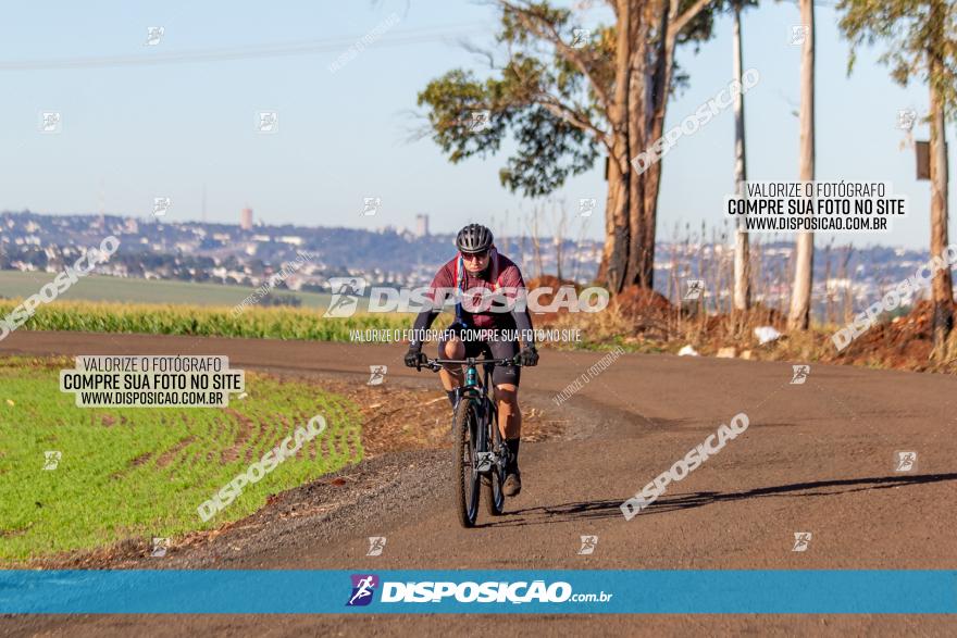 Desafio Meio Ambiente 2021
