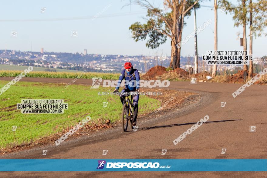 Desafio Meio Ambiente 2021