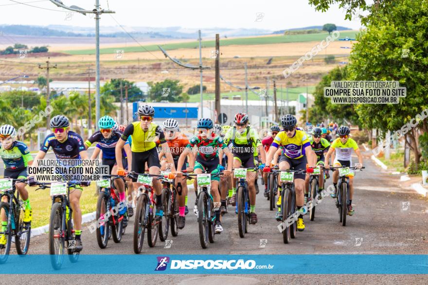 XCM Capital da Uva Fina Marialva 2021