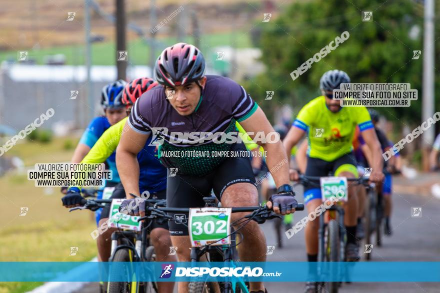 XCM Capital da Uva Fina Marialva 2021