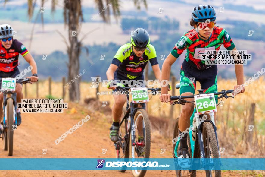 XCM Capital da Uva Fina Marialva 2021