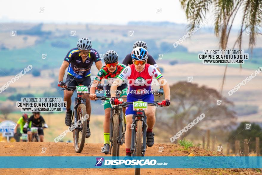 XCM Capital da Uva Fina Marialva 2021