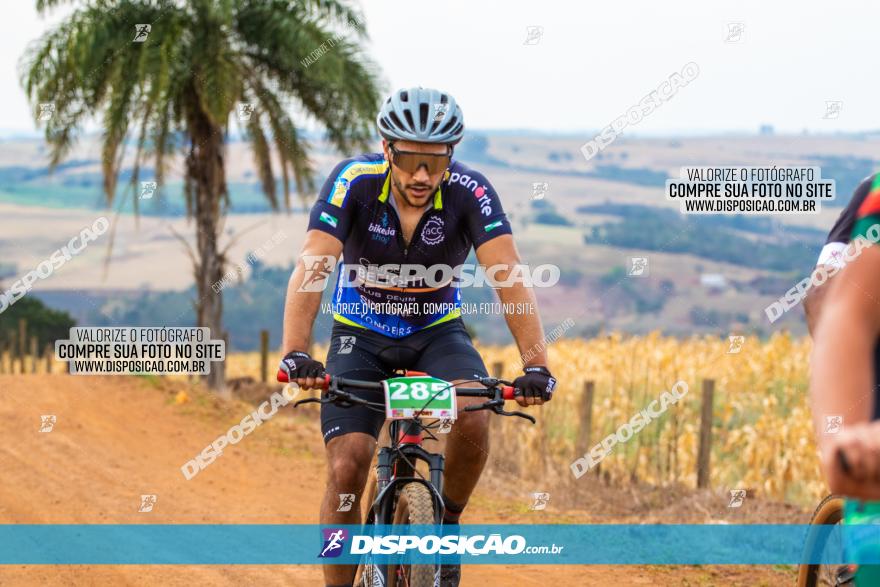 XCM Capital da Uva Fina Marialva 2021