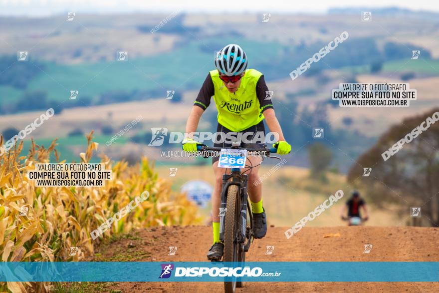 XCM Capital da Uva Fina Marialva 2021