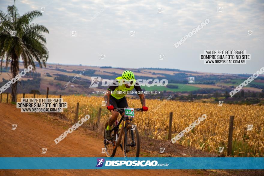 XCM Capital da Uva Fina Marialva 2021