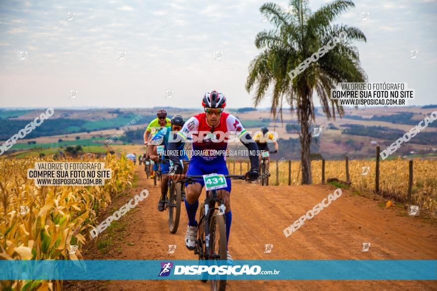 XCM Capital da Uva Fina Marialva 2021