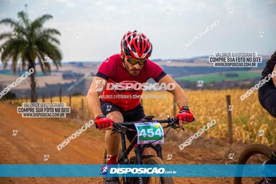 XCM Capital da Uva Fina Marialva 2021
