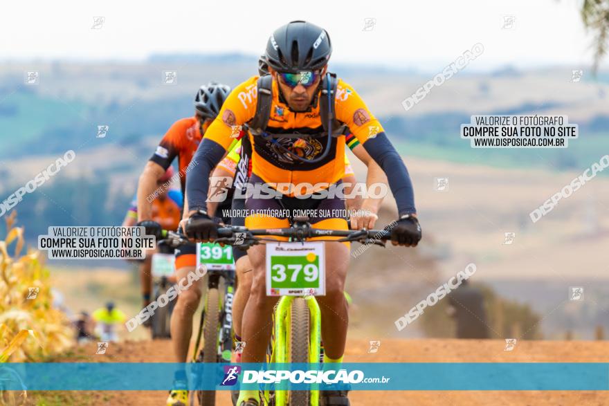 XCM Capital da Uva Fina Marialva 2021