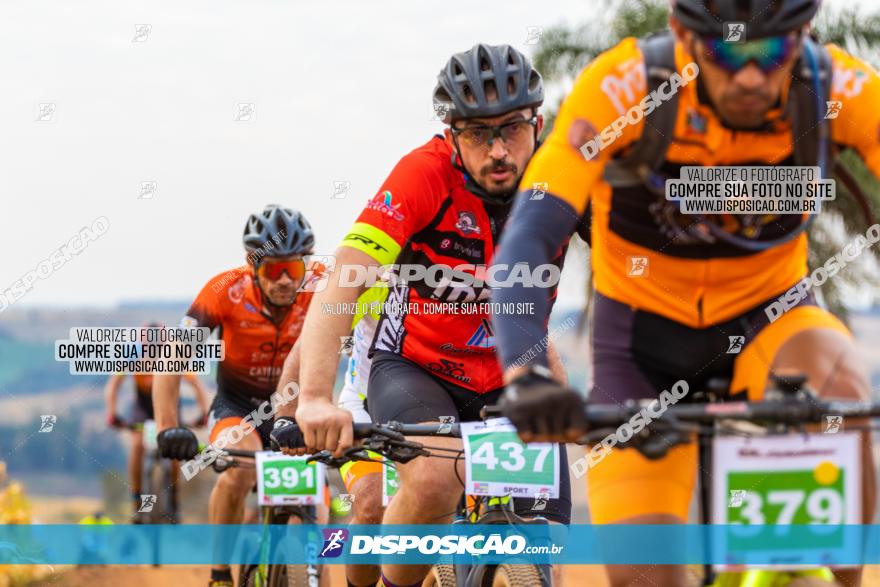 XCM Capital da Uva Fina Marialva 2021