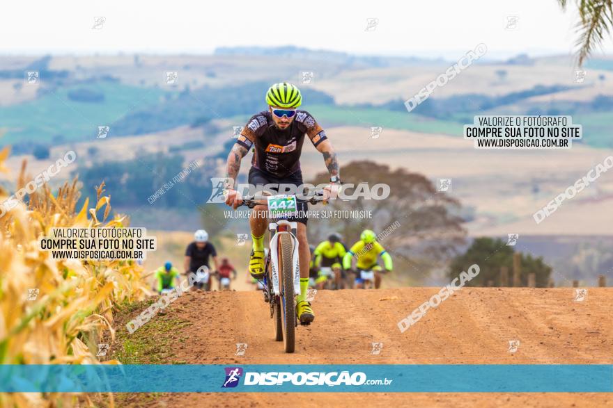 XCM Capital da Uva Fina Marialva 2021