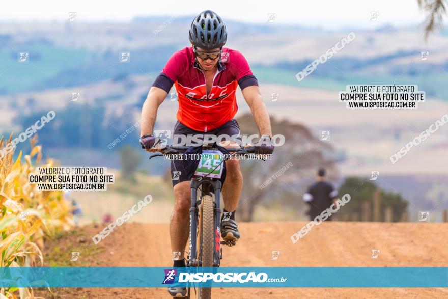 XCM Capital da Uva Fina Marialva 2021
