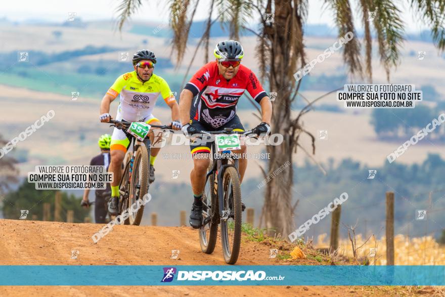 XCM Capital da Uva Fina Marialva 2021
