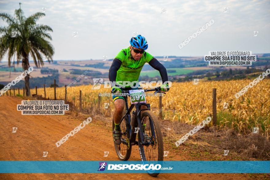 XCM Capital da Uva Fina Marialva 2021