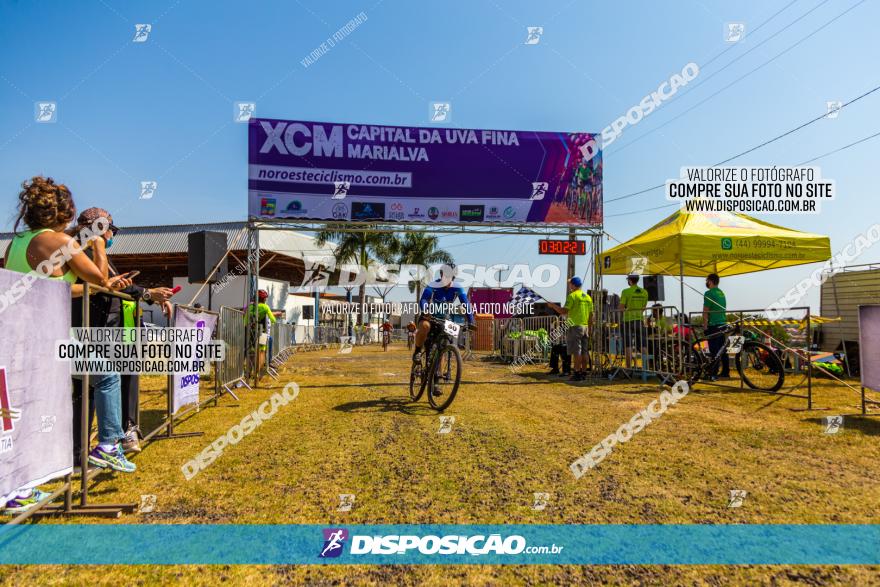 XCM Capital da Uva Fina Marialva 2021
