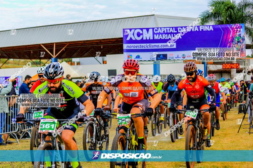 XCM Capital da Uva Fina Marialva 2021