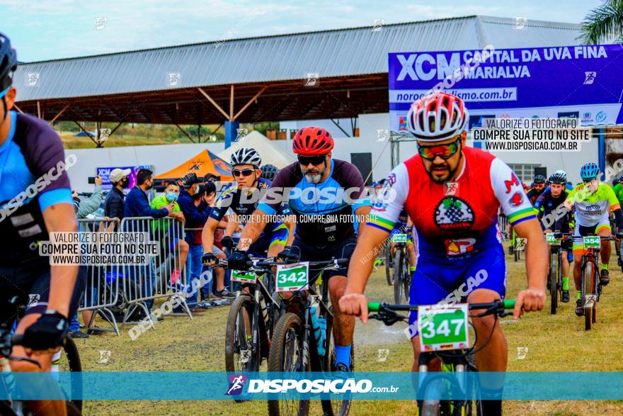 XCM Capital da Uva Fina Marialva 2021