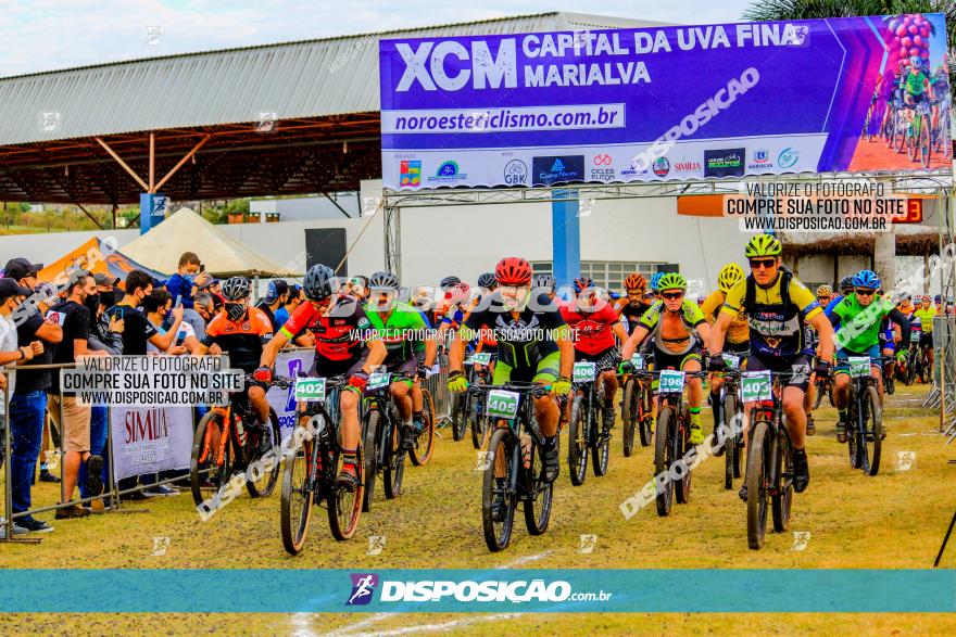 XCM Capital da Uva Fina Marialva 2021